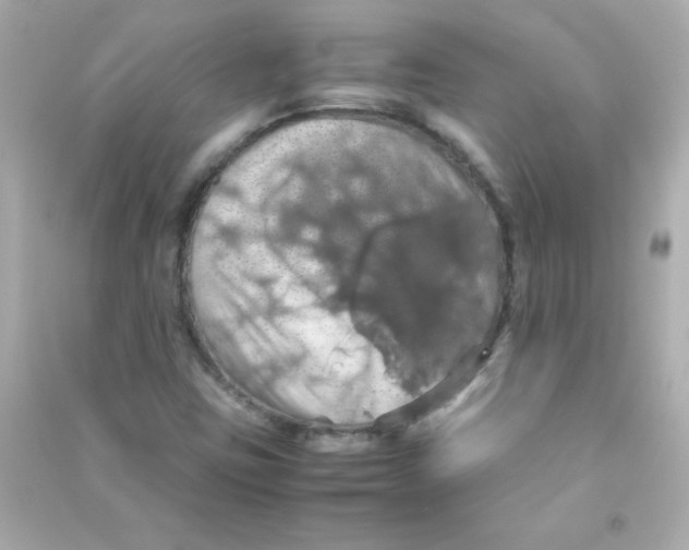 X0000090491403200708102209