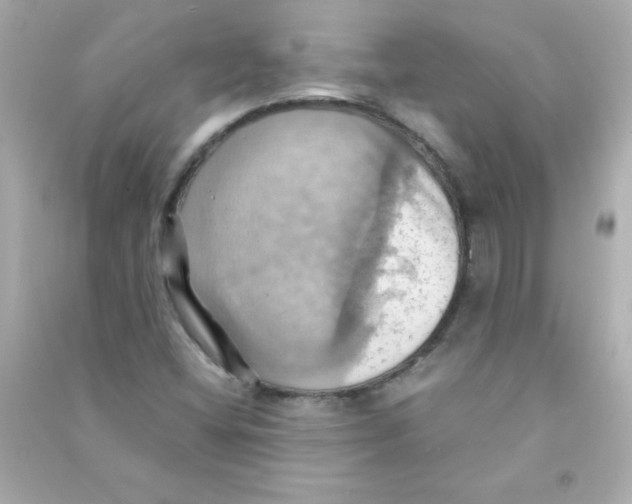 X0000090491404200708102209