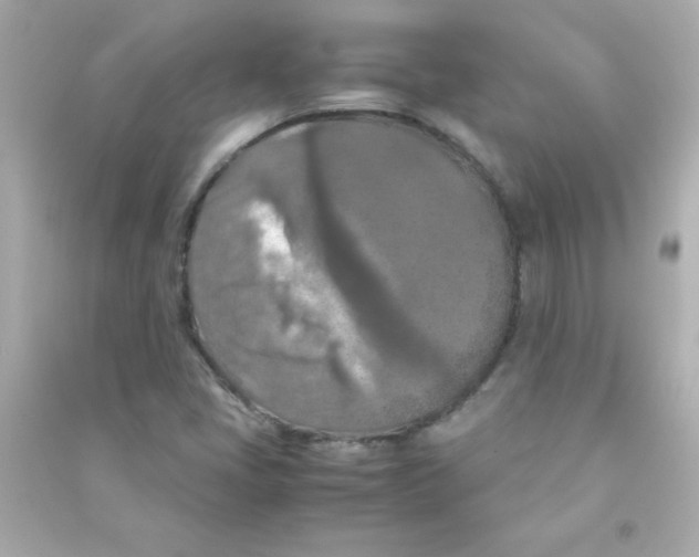 X0000090491405200708102209