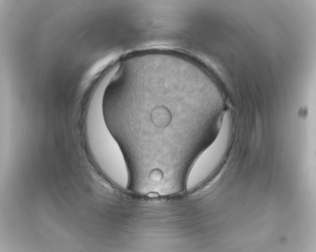 X0000090491406200708102209