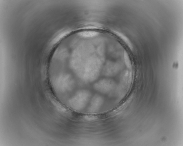 X0000090491407200708102209