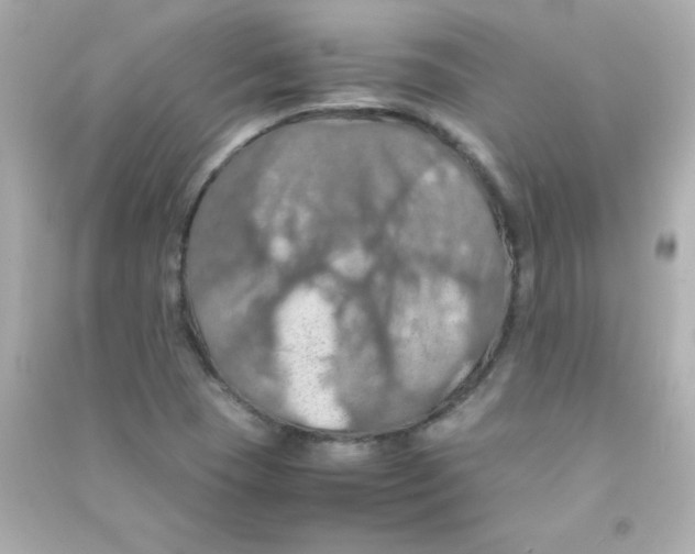 X0000090491409200708102209