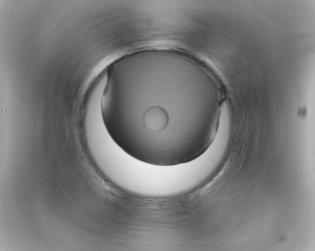 X0000090491410200708102209