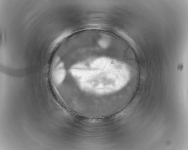 X0000090491411200708102209