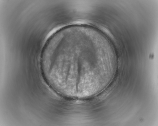 X0000090491412200708102209