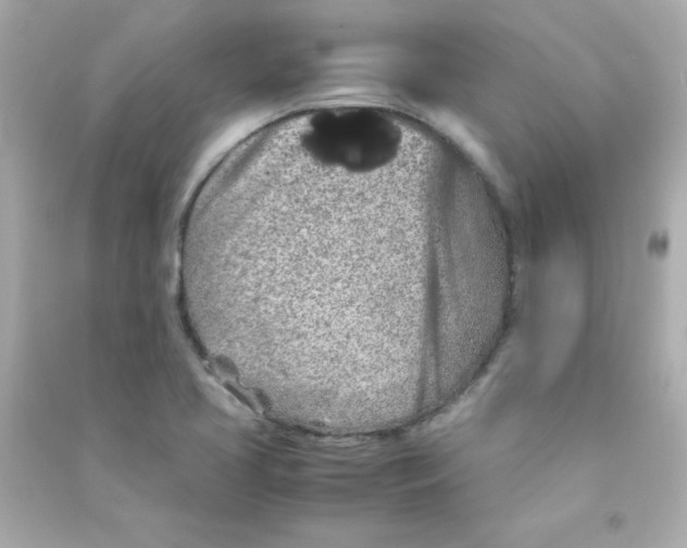 X0000090491413200708102209