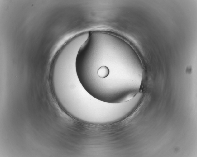 X0000090491414200708102209