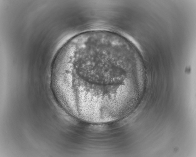 X0000090491415200708102209