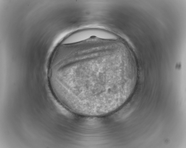 X0000090491416200708102209