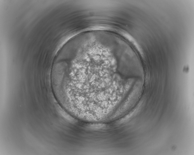 X0000090491417200708102209