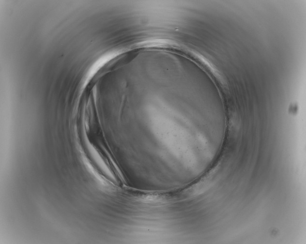 X0000090491418200708102209