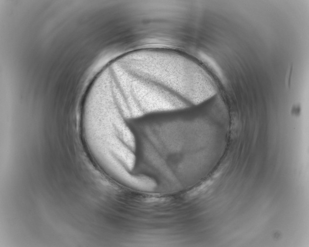 X0000090491419200708102209