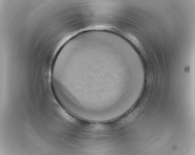 X0000090491420200708102209