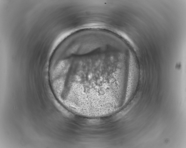 X0000090491421200708102209