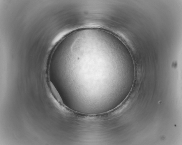 X0000090491422200708102209