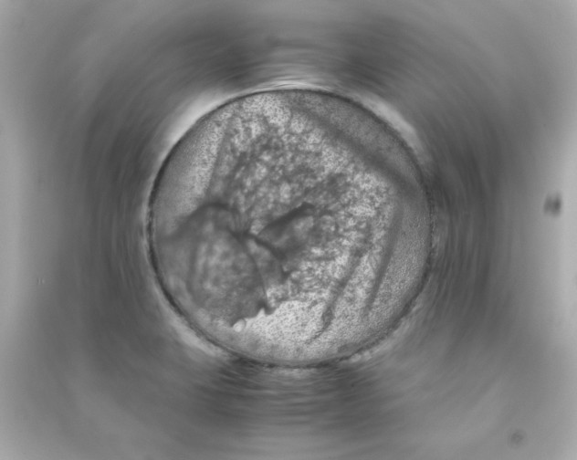 X0000090491423200708102209