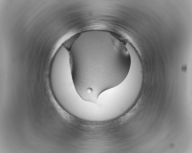 X0000090491426200708102209