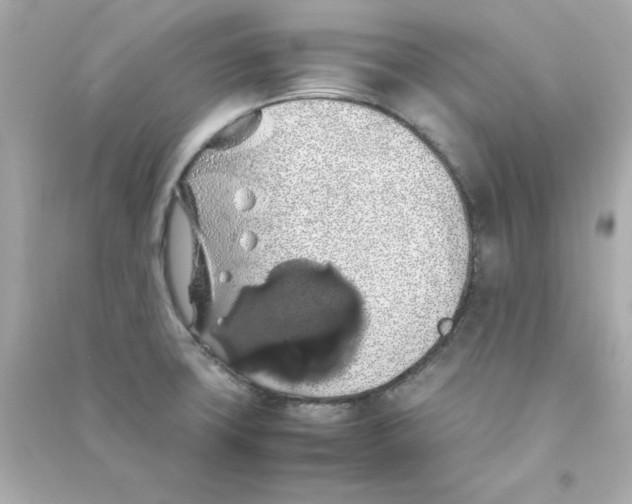 X0000090491427200708102209