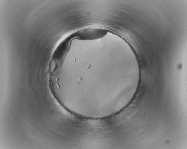 X0000090491428200708102209