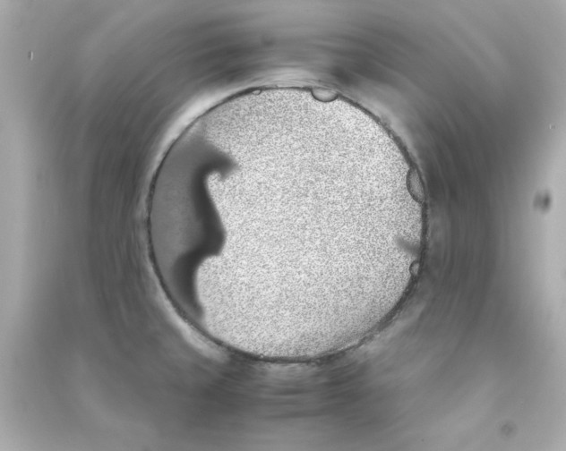 X0000090491429200708102209