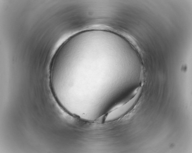 X0000090491430200708102209