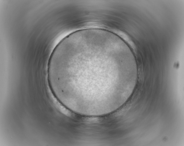 X0000090491431200708102209