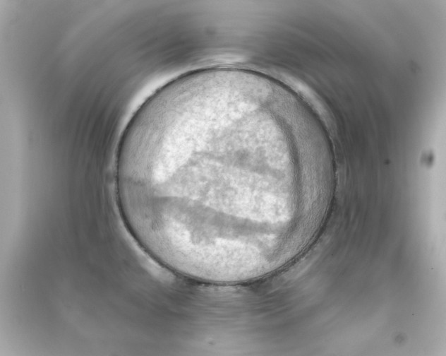 X0000090491432200708102209