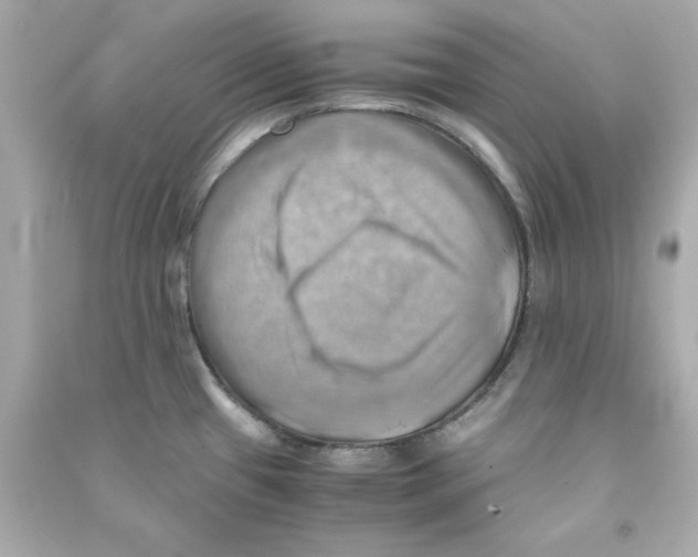 X0000090491433200708102209