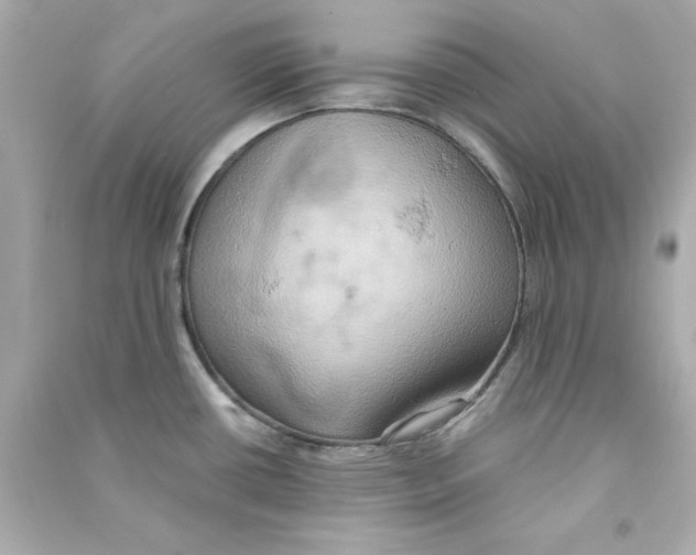 X0000090491434200708102209