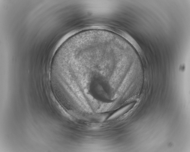 X0000090491436200708102209