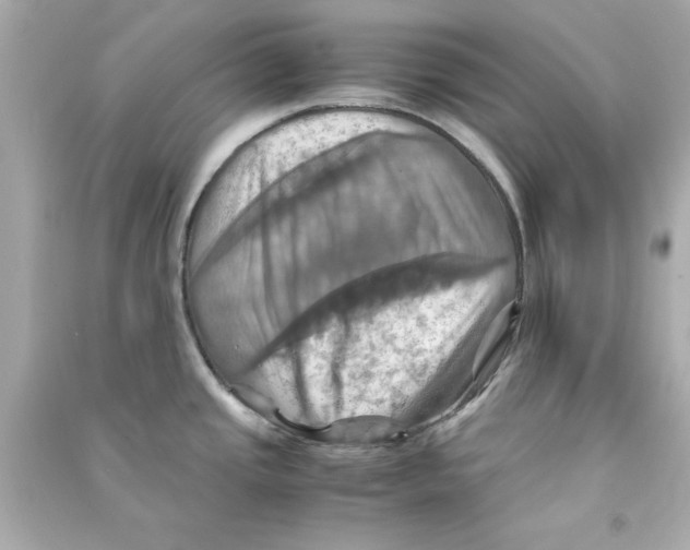 X0000090491437200708102209