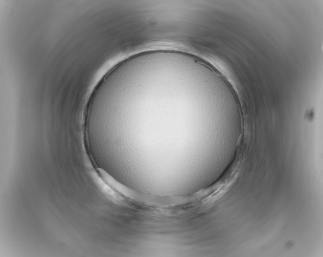 X0000090491438200708102209