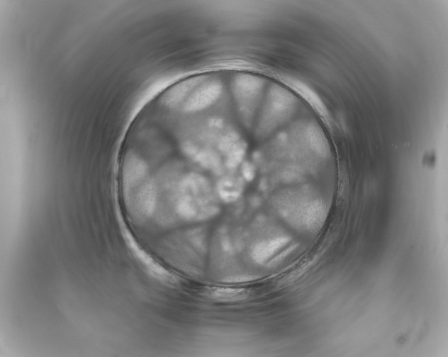 X0000090491439200708102209