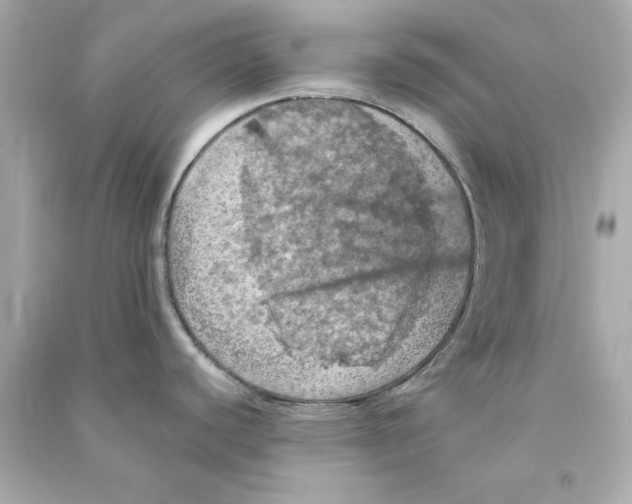 X0000090491440200708102209