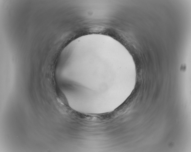 X0000090491441200708102208