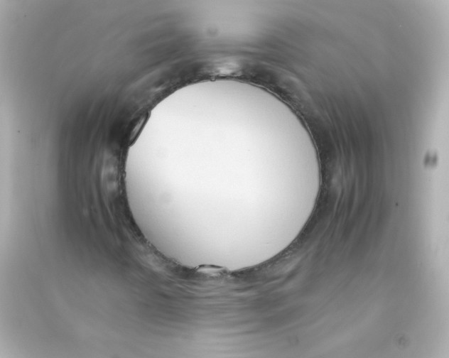 X0000090491442200708102208