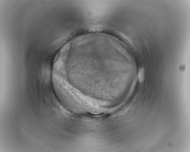 X0000090491444200708102208