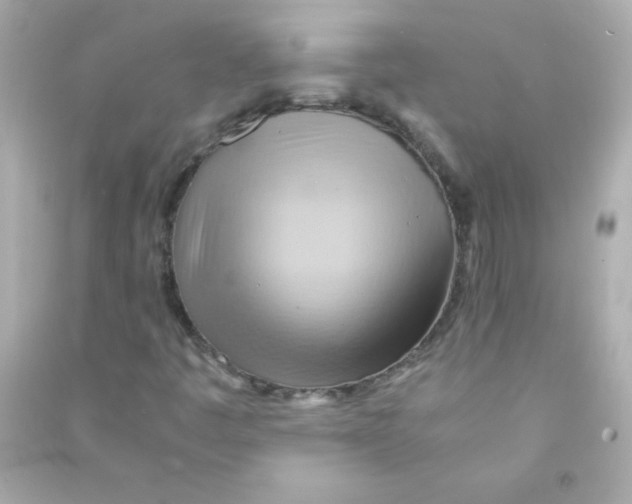 X0000090491445200708102208