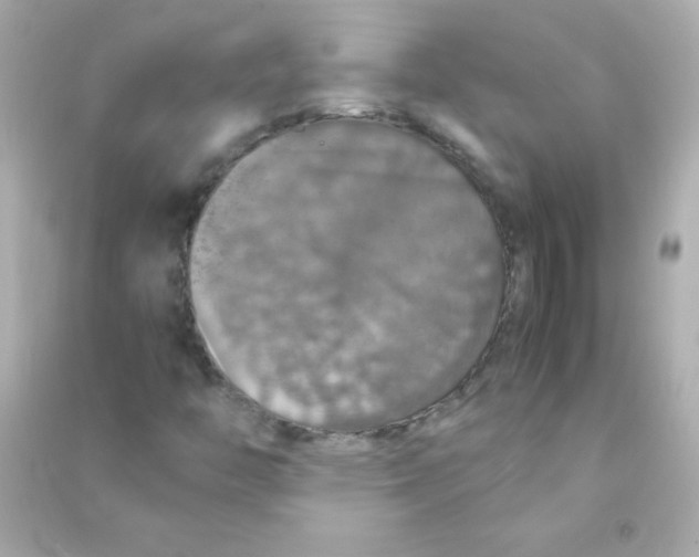 X0000090491446200708102208