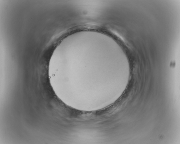 X0000090491447200708102208