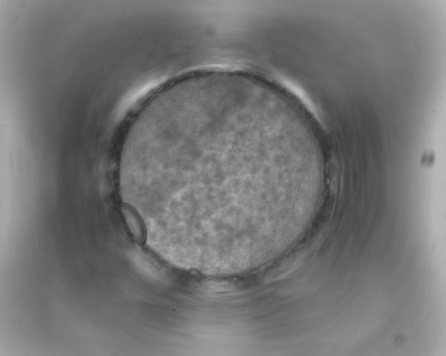 X0000090491448200708102208