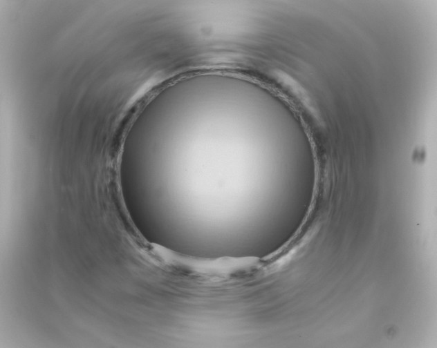 X0000090491449200708102208