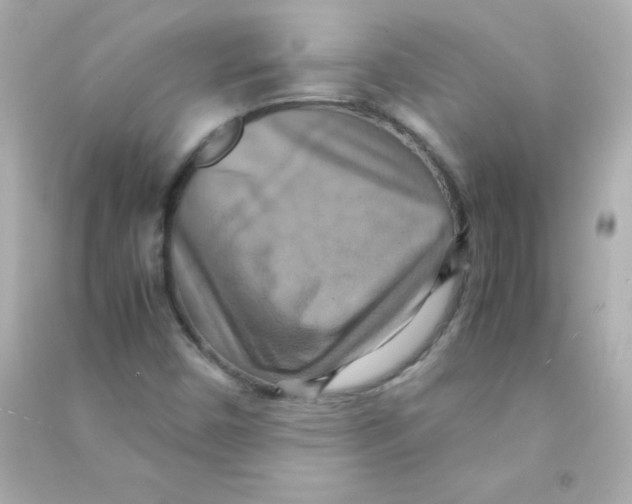 X0000090491450200708102208