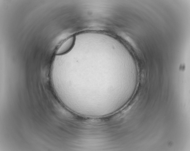 X0000090491451200708102208