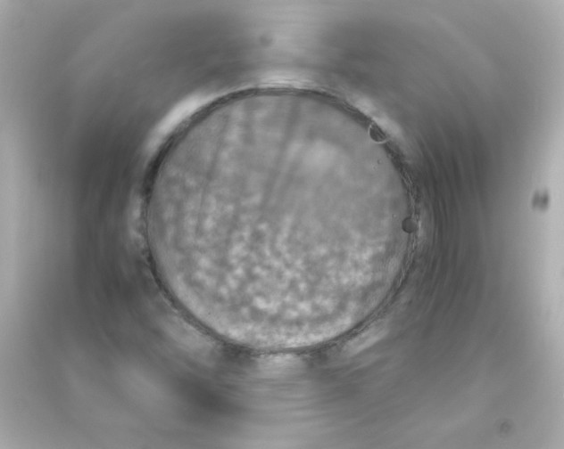 X0000090491454200708102208