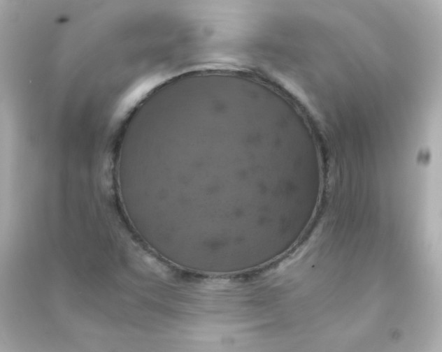 X0000090491455200708102208