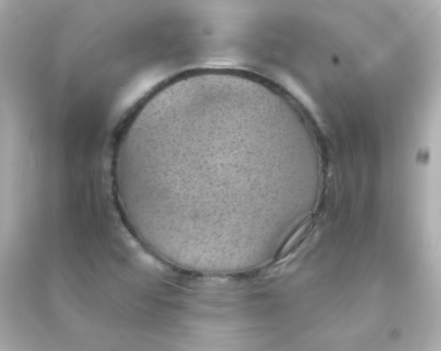 X0000090491456200708102208