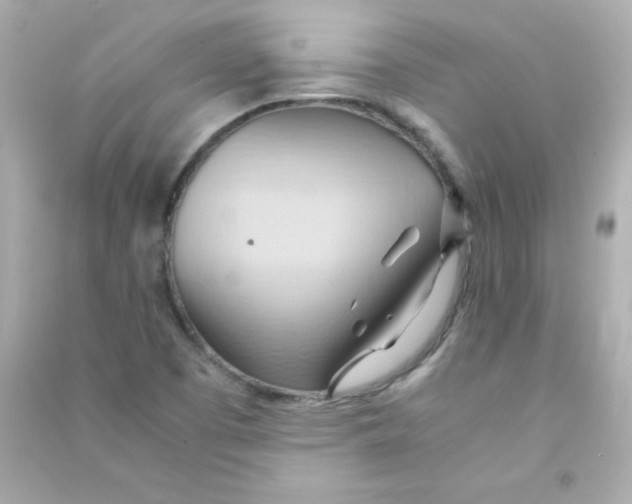 X0000090491457200708102208