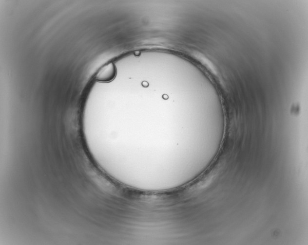 X0000090491458200708102208