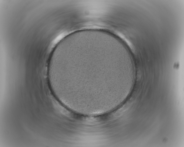 X0000090491459200708102208